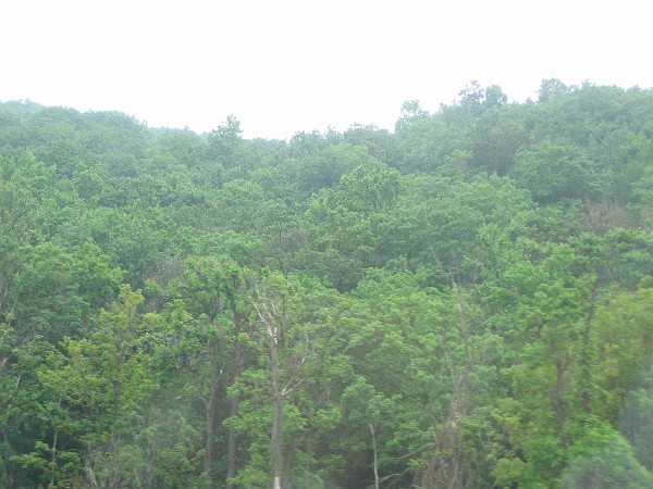 vacation 2006 003.jpg